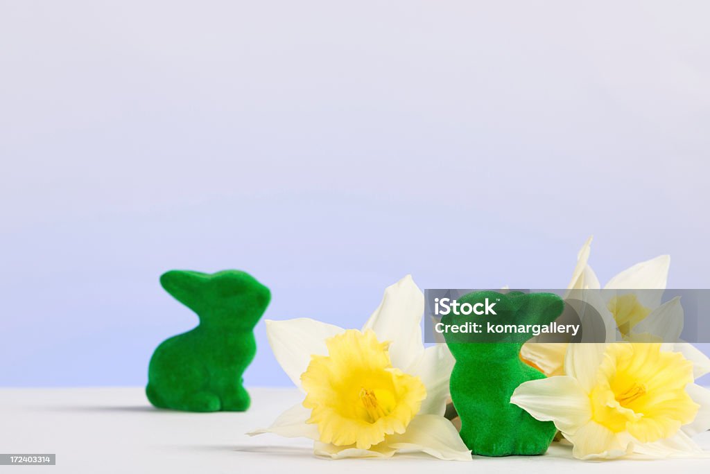 Pasqua - Foto stock royalty-free di Animale