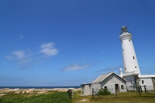istock Seal Point Lighthouse in South Africa 172403725