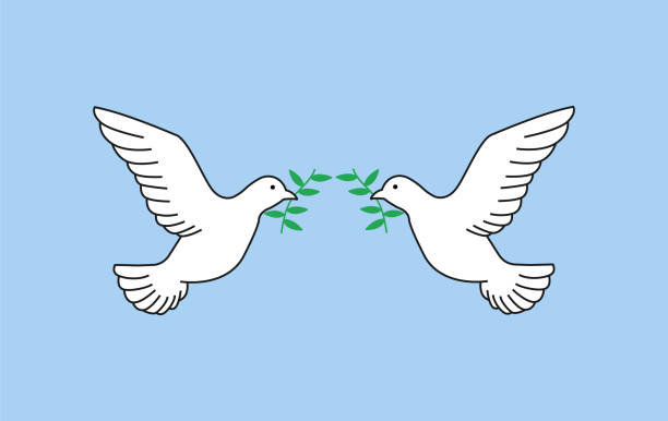 ilustrações, clipart, desenhos animados e ícones de uma pomba da paz segurando um ramo de oliveira, liberdade e paz - blessing hands ervas