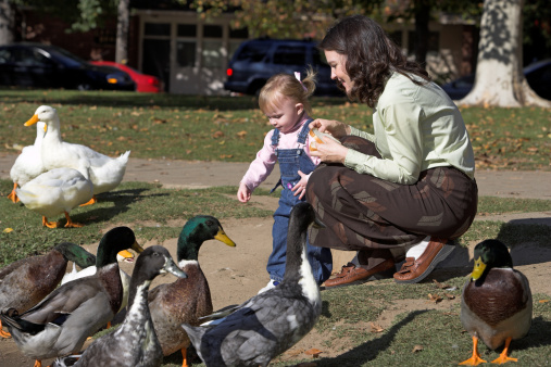A mother and child feeding the Ducks and Geese at the park.