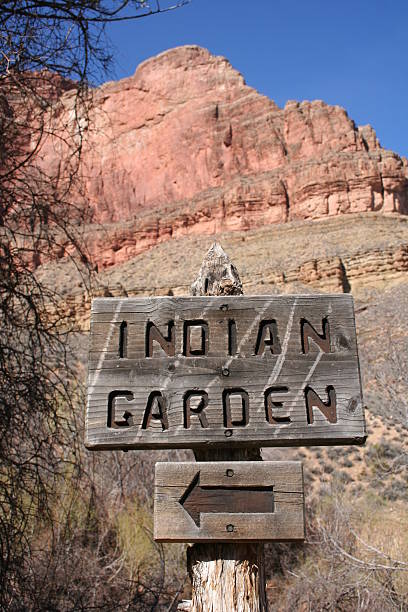 istock Grand Canyon Sign 172404710