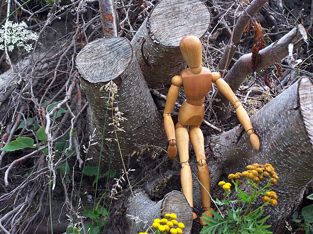 istock Woody in the forrest 172405426
