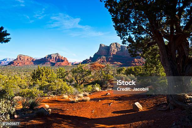 Red Rocks De Sedona Foto de stock y más banco de imágenes de Aire libre - Aire libre, Arbusto, Arizona