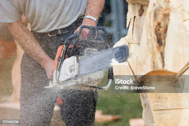 Kettensäge 1 Stockfoto und mehr Bilder von Aktivitäten und Sport - Aktivitäten und Sport, Arbeiter, Berufliche Beschäftigung