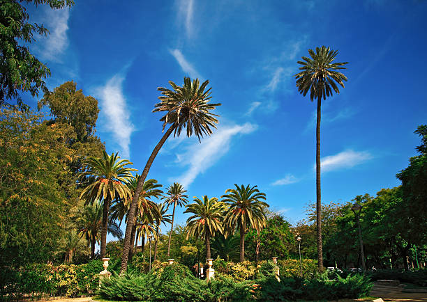 istock the gardens of Murillo 172406542