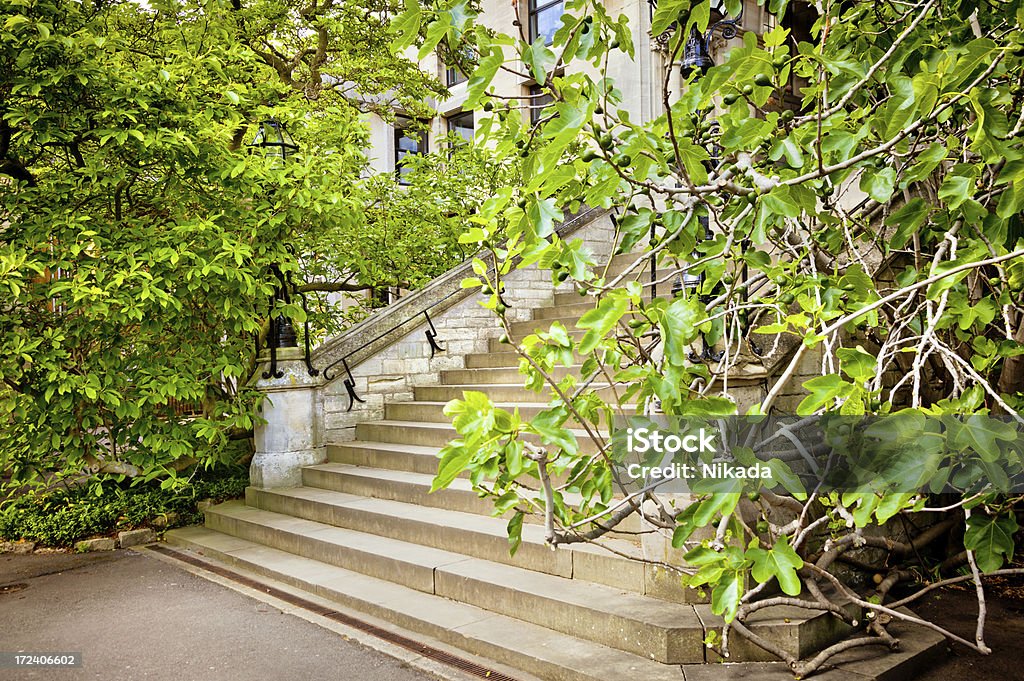 Лестница ведет в колледже здание в оксфорд, Великобритания - Стоковые фото Англия роялти-фри