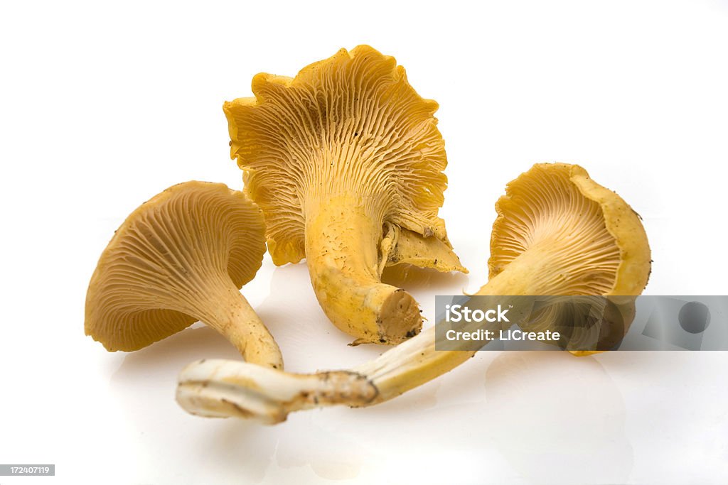 Hongo Chanterelle tipo seta - Foto de stock de Alimento libre de derechos