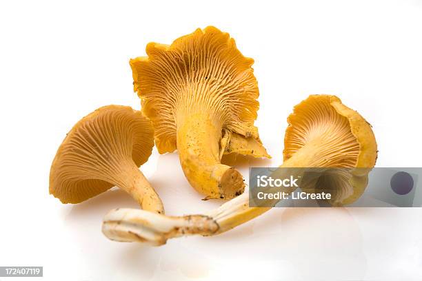 Hongo Chanterelle Tipo Seta Foto de stock y más banco de imágenes de Alimento - Alimento, Amarillo - Color, Cantharellus