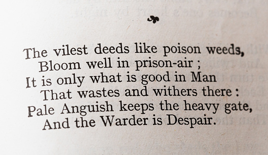 Famous stanza about the despair and futility of prison life, from The Ballad of Reading Gaol by Oscar Wilde. From a pre-1942 edition of The Works of Oscar Wilde (the writer, playwright and wit who lived from 1854 to 1900): The vilest deeds like poison weeds,/ Bloom well in prison-air;/ It is only what is good in Man/ That wastes and withers there:/ Pale Anguish keeps the heavy gate,/ And the Warder is Despair.