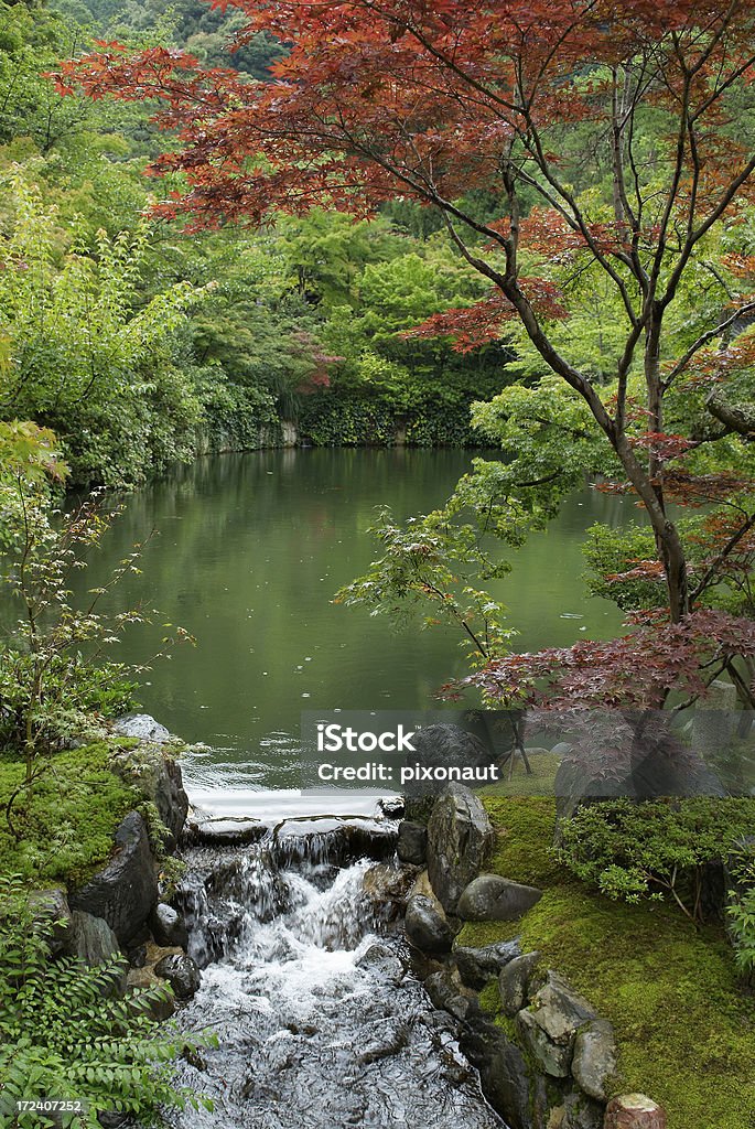 Giardino giapponese - Foto stock royalty-free di Acero