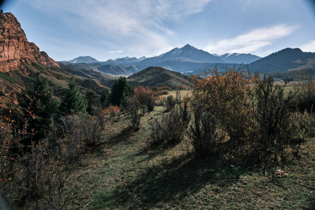 istock Snowcapped mountain peak behind autumn bush area 1724075125