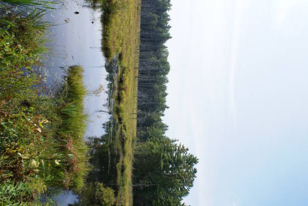istock Nothern Canadian Landscape 172407528