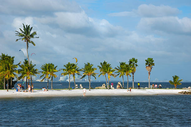 miami beach marina in family during a summer day afternoon