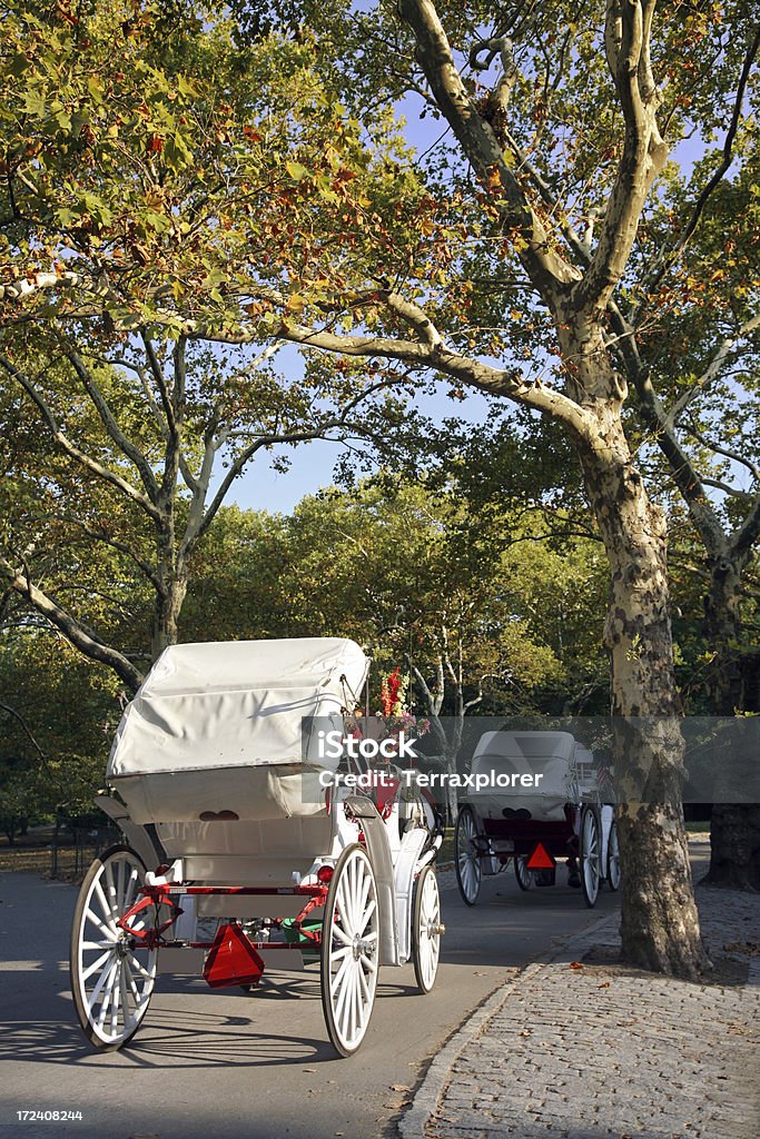 Cavallo e il Buggy a Central Park - Foto stock royalty-free di Albero