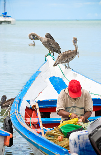 Fisherman's scenics with boats and Pelicans.Fisherman's boats in Juan Griego Bay at Margarita island Venezuela.Fisherman's boat in a Tropical beach. Fisherman's boats in Juan Griego Bay at Margarita island Venezuela.Fisherman's boat in a Tropical beach.  Boats, sailboats and yachts anchored in a Caribbean island. Travel and leisure related images for vacations in the Caribbean. Image taken at Juan Griego, Margarita Island, Venezuela. Margarita is a tourist and popular vacation destination in the Caribbean. Very popular destination for leisure, diving, kite surfing and all kind of water activities. Margarita and the beauty of the turquoise coastal beaches of Venezuela are almost indistinguishable from those of the Bahamas, Fiji, Bora Bora, French Polynesia, Malau, Hawaii, Cancun, Costa Rica, Florida, Maldives, Cuba, Puerto Rico, Honduras, or other tropical areas.