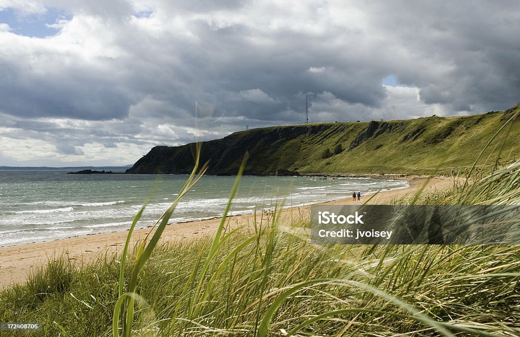 Viento Costa de Fife - Foto de stock de Arena libre de derechos