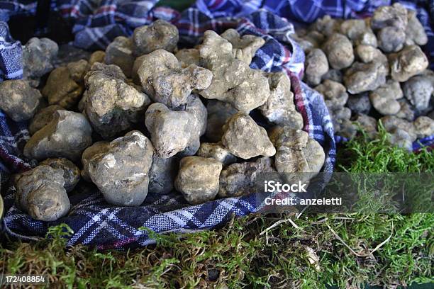 Branco Trufas - Fotografias de stock e mais imagens de Úmbria - Úmbria, Comida, Trufa Branca