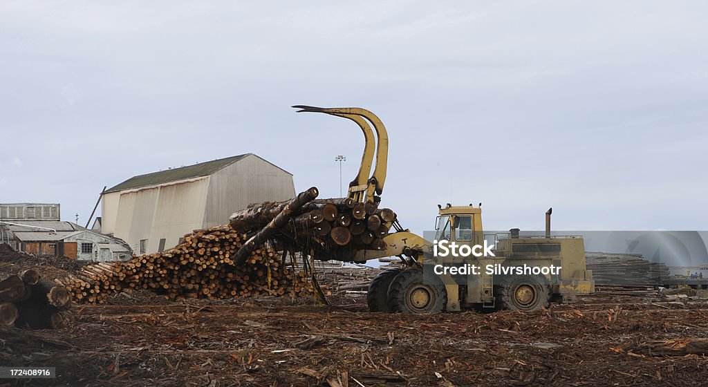 Front Load Logs Front End Loader Lifting Logs Stock Photo - Download Image Now ...