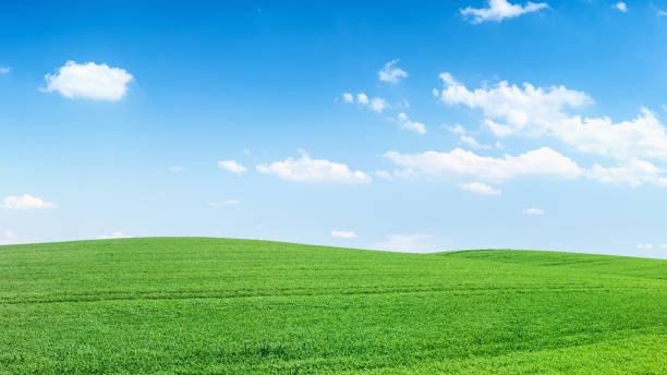 istock Panoramic spring landscape 45MPix XXXXL - meadow, blue sky 172408957