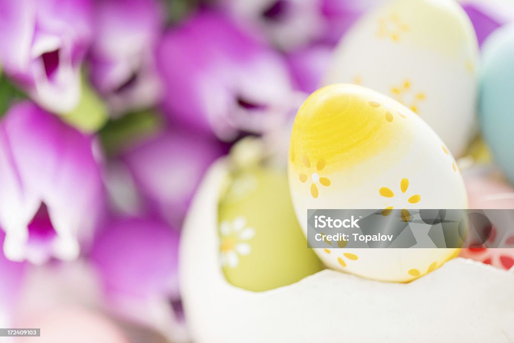 Easter egg Close-up shot of a easter egg with tulip flowers in background Animal Egg Stock Photo