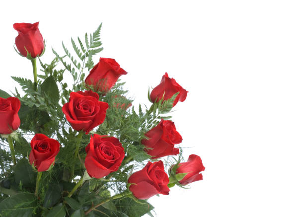 赤いバラ(xl - dozen roses rose flower arrangement red ストックフォトと画像