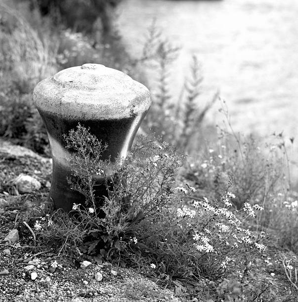 not used bollard with flowers (XXL) stock photo