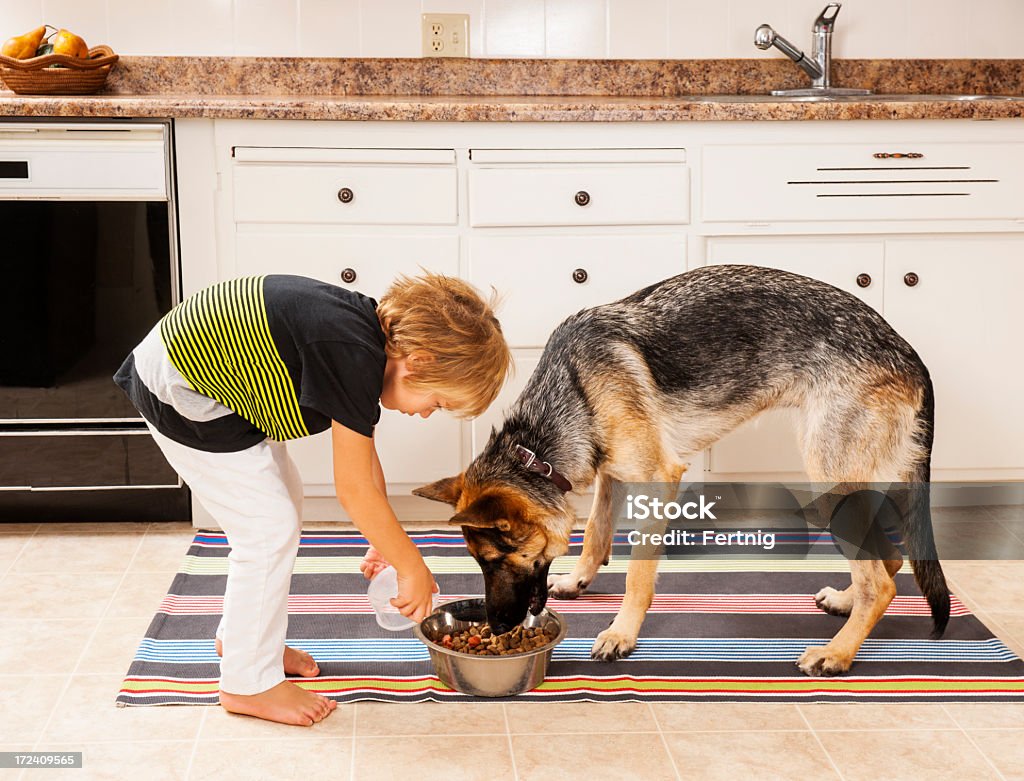 Lactancia el perro de familia - Foto de stock de Alimentar libre de derechos