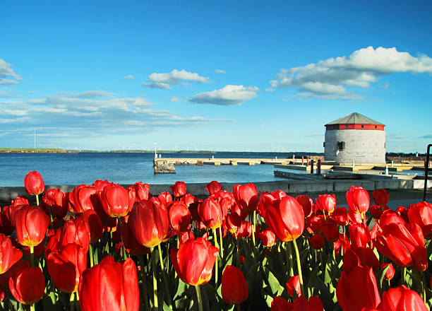 Victoria Tower and Harbour "Shoal Tower in the background. The view from the Flora MacDonald Confederation Basin Marina, Kingston Ontario, Canada. There are four martello towers in Kingston, constructed between 1846 and 1848 to protect the city against attack by the USA." kingston harbour stock pictures, royalty-free photos & images