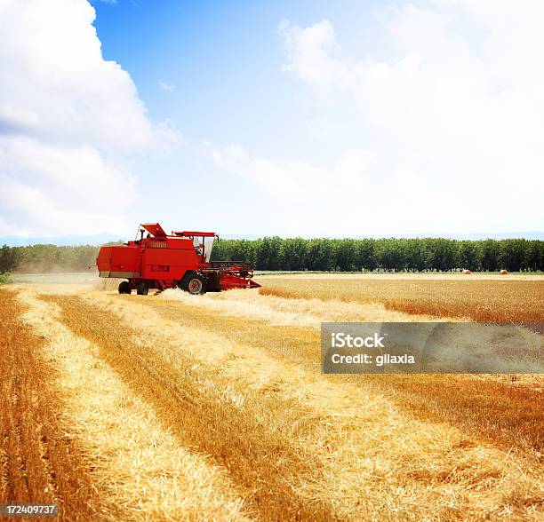Урожай Пшеницы — стоковые фотографии и другие картинки Machinery - Machinery, Выращиваемый, Горизонт над землей