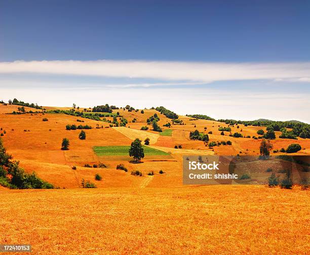 Berglandschaft Stockfoto und mehr Bilder von Baum - Baum, Berg, Bunt - Farbton