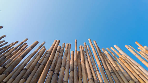 istock Very high bamboo fence 1724103904