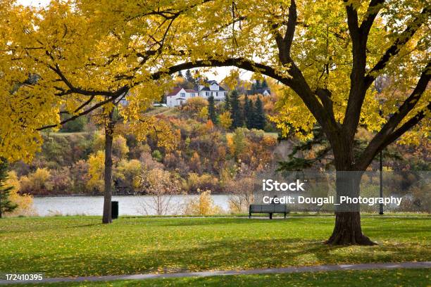 Saskatoon Autunno Parco - Fotografie stock e altre immagini di Saskatoon - Saskatoon, Panchina, Autunno