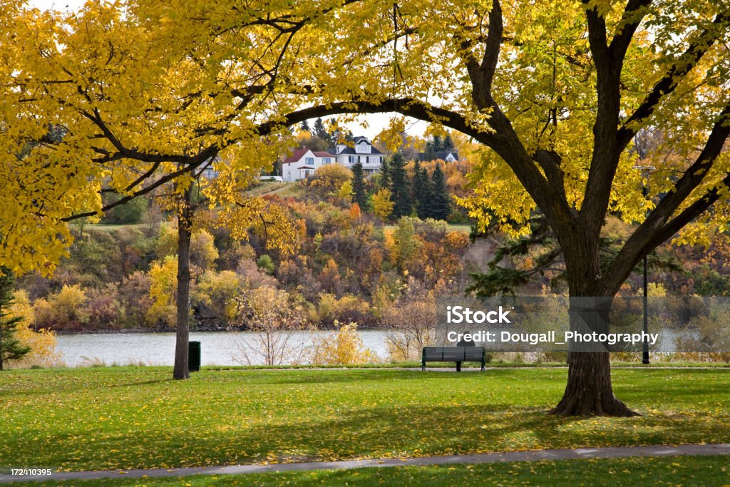 Saskatoon Autumn Park Riverbank park in downtown Saskatoon.  Person resting on bench in background. Trees with autumn colors visible in foreground. Saskatoon Stock Photo