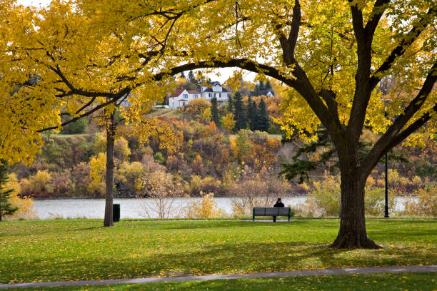 Saskatoon Autumn Park stock photo