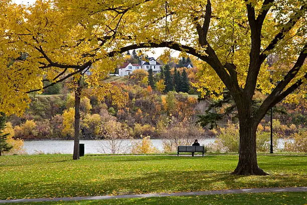 Riverbank park in downtown Saskatoon.  Person resting on bench in background. Trees with autumn colors visible in foreground.