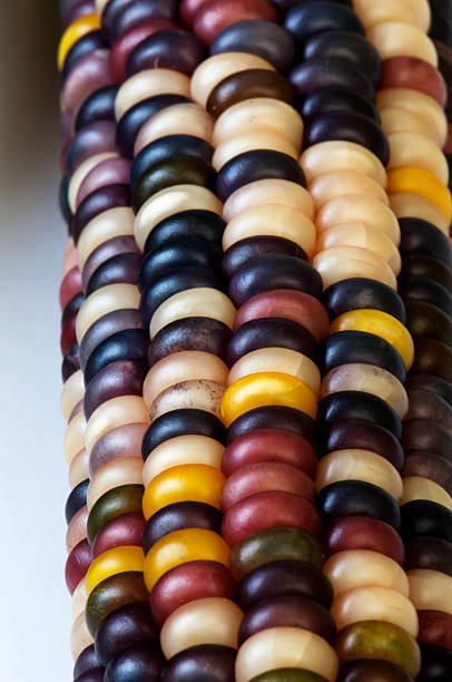 istock Autumns Bountiful Colors in Indian Corn 172410883