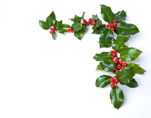 istock Border of fake holly on white  172410933