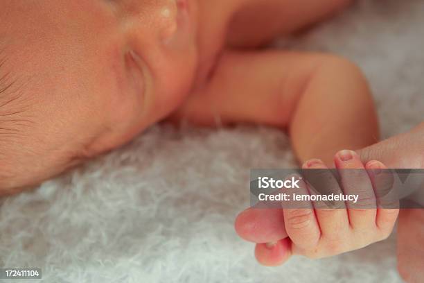Agarrar De La Mano Foto de stock y más banco de imágenes de Prematuro - Prematuro, Bebé, Niño