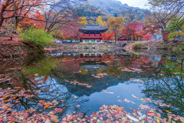istock Autumn Maple Scenery in the Mountain Valley 1724112817