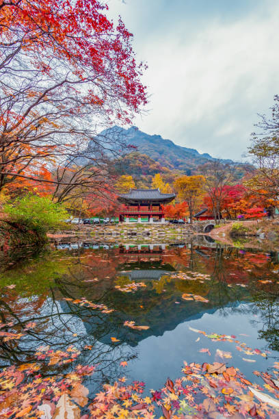 istock Autumn Maple Scenery in the Mountain Valley 1724112821