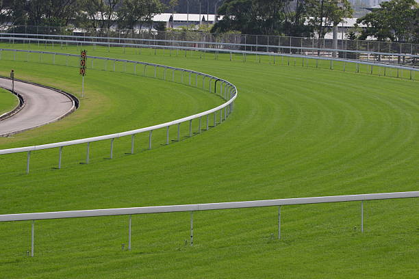 istock Horse Racing Track 172411374