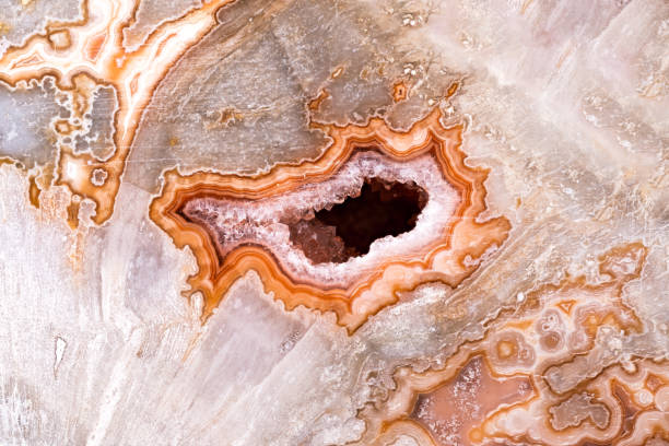 istock agate, quartz geode in petrified wood macro detail texture 1724115136