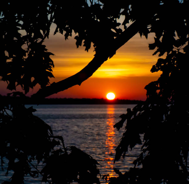 Beautiful scenic view of a vibrant sunrise over the ottawa river with the silhouette of tree leaves in the shape of a heart on a cold morning in october.