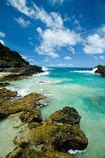 Tropical coastline under a blue sky with white clouds.