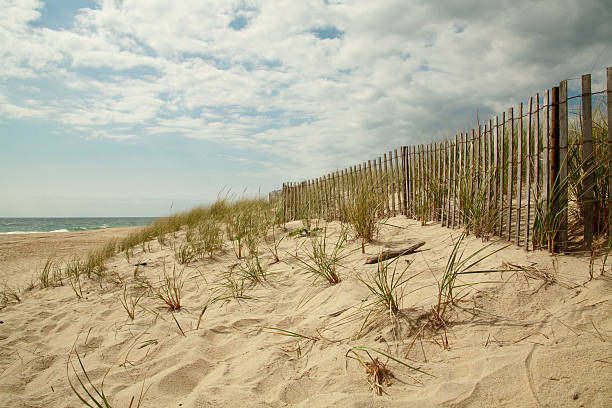 Wooden fence running along dunes East Hamptons Beach scene with cloudy sky the hamptons photos stock pictures, royalty-free photos & images