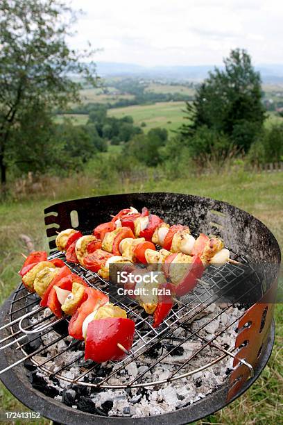 S Barbecue Estivi - Fotografie stock e altre immagini di Alla griglia - Alla griglia, Allerta, Ambientazione esterna