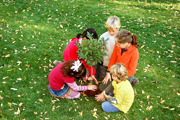 Tree Planting Camp 150+ Reforestation Camp Stock Photos, Pictures & Royalty-Free Images ...