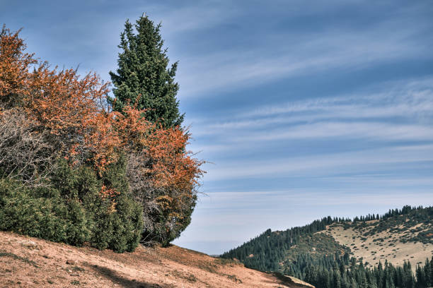 Tien Shan mountains in sunny autumn