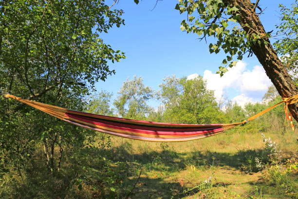 istock hammock among trees in summer meadow 1724133304