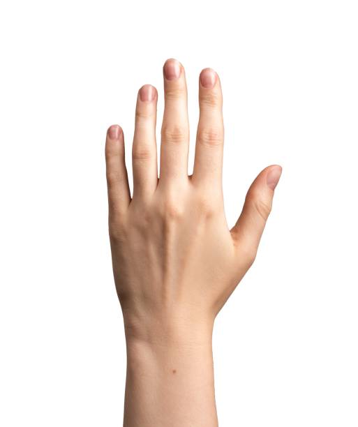 istock Dorsal front side of hand isolated on white 1724134699